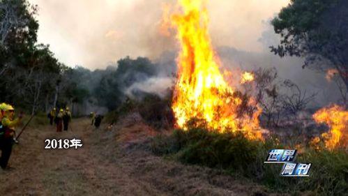 夏威夷火灾爆料视频播放,视频曝光惊人一幕 第3张 夏威夷火灾爆料视频播放,视频曝光惊人一幕 第3张