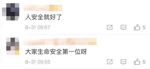 乐山最新爆料新闻视频,揭秘神秘事件背后的真相 第3张 乐山最新爆料新闻视频,揭秘神秘事件背后的真相 第3张